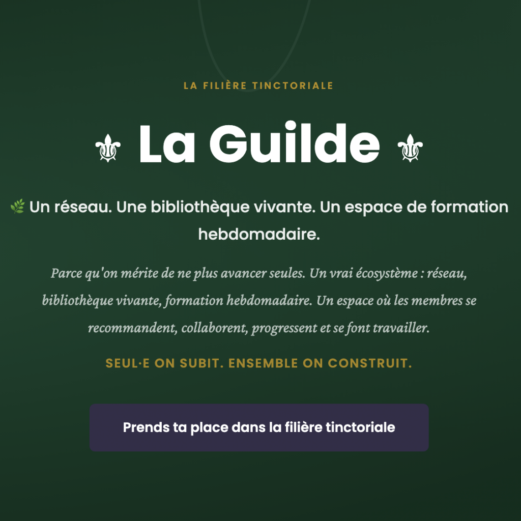 Visuel de La Guilde Tinctoriale qui invite Adeline Cointe pour parler relations médias